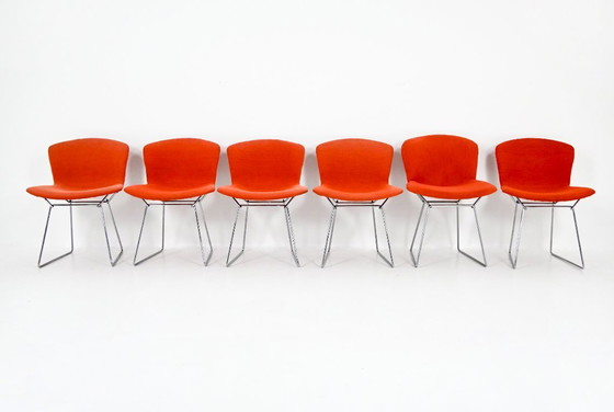 Image 1 of Sillas de Harry Bertoia para Knoll, década de 1960, juego de 6