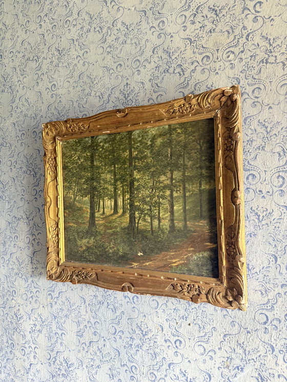 Image 1 of Paesaggio Dipinto interno foresta con luce contro jour 