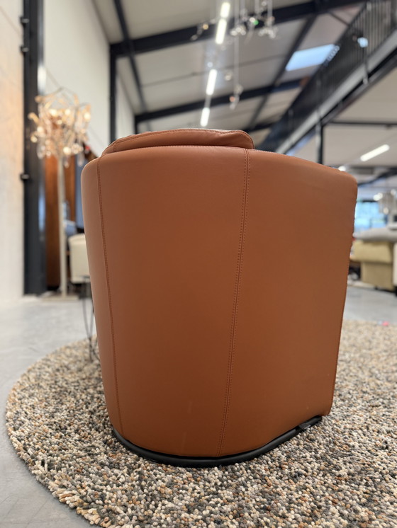 Image 1 of 2 Leolux Suva Fauteuils Wapiti Hawk leer 