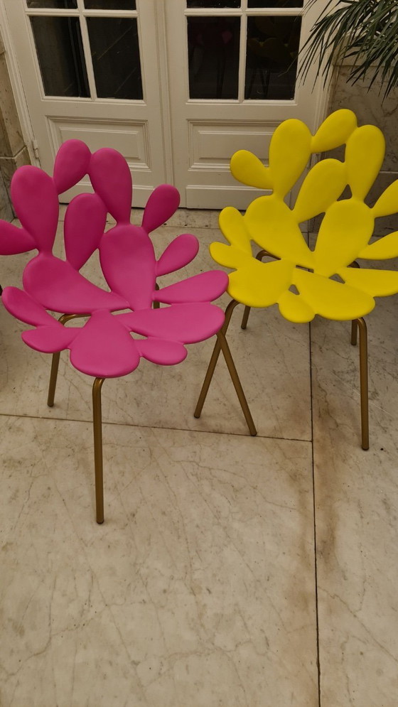 Image 1 of Filicudi Chair Colored 2x Fushia en 2x Geel Qeeboo