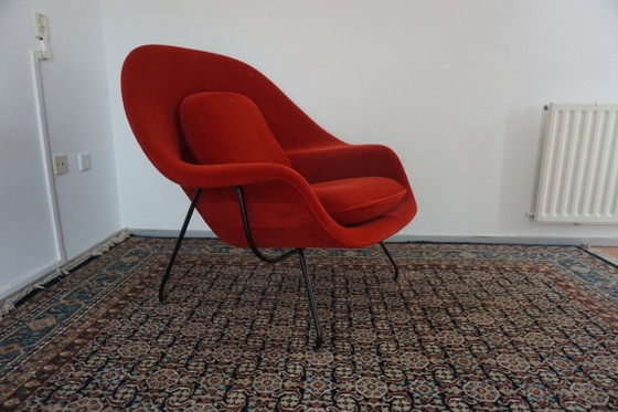 Knoll Womb Chair in red alpaca - Eero Saarinen, Chairs and lounge chairs, Metal, Textile, Black (photo 8 of 17)
