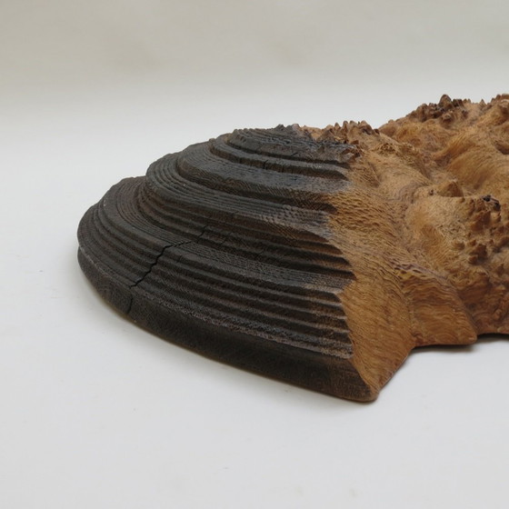 Image 1 of Wandsculptuur van wortelnotenhout handgemaakt door Mike Scott Chai