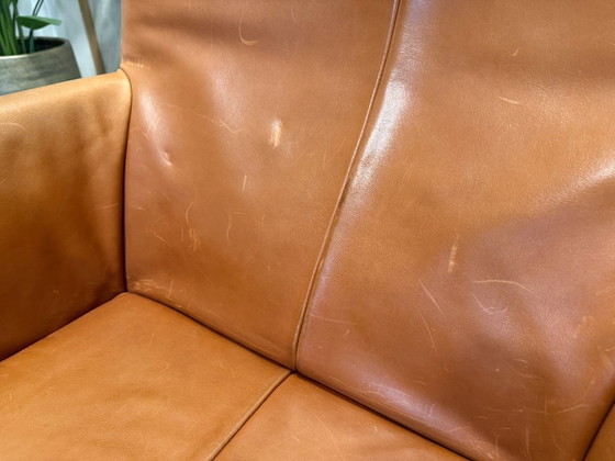 Montis | Gerard van den Berg | Charly | Pelle cognac/marrone | 1 pezzo – Poltrone, Metallo (photo 9 of 12)