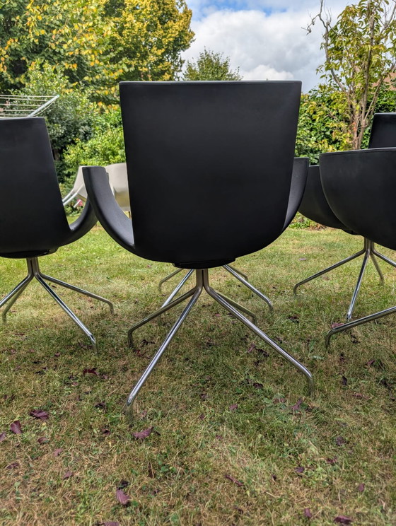 Image 1 of Sintesi Noa Spider