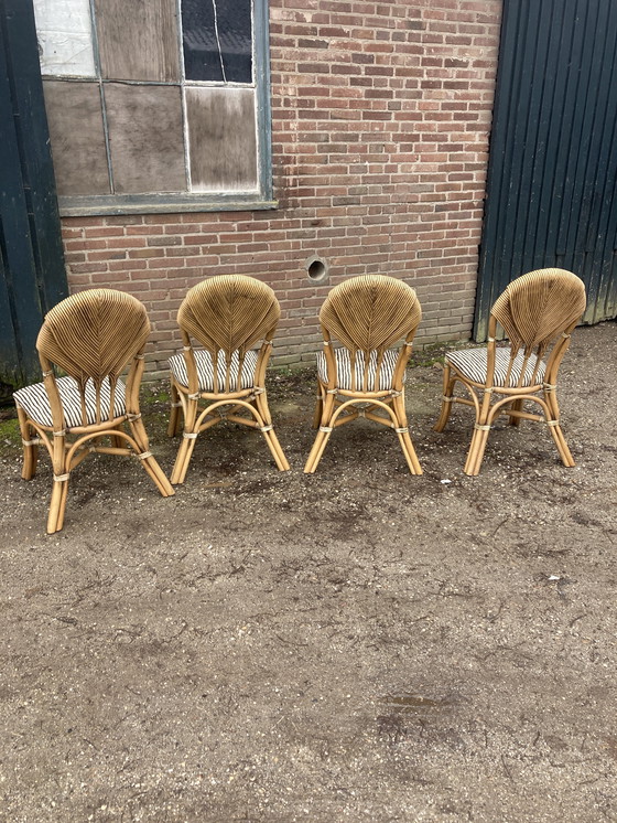 Image 1 of 4 Sedie “foglia di palma” Vivai del Sud. 