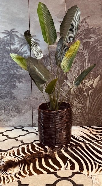 Image 1 of Cesta para plantas de lápiz de caña en estilo Crespi