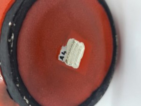 Image 1 of Taza Roger Capron Cerámica roja Vallauris Francia 1950