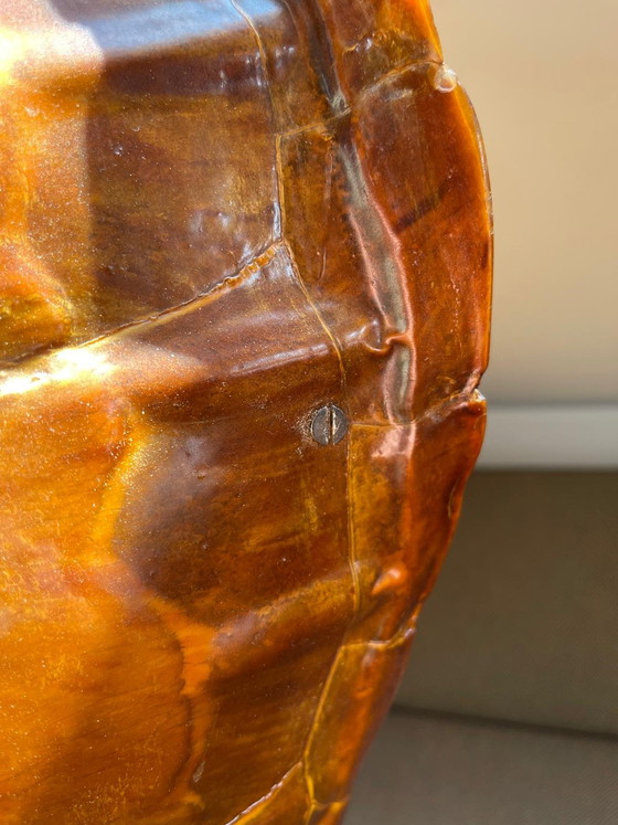 Image 1 of Zeldzame antieke lamp van echt schildpadschild - een echt verzamelobject
