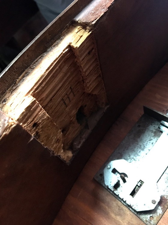 Cassettiera Bombé Antica - Stile Carlo III / Luigi XV (XVIII Secolo), Cassettiere, Legno, Metallo, Marrone (foto 4 di 6)