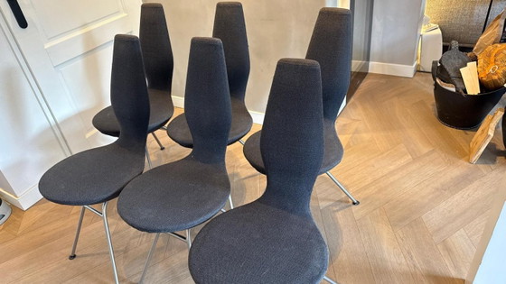 stokke, varier date stoelen, Eetkamerstoelen, Katoen, Zwart (foto 2 van 8)