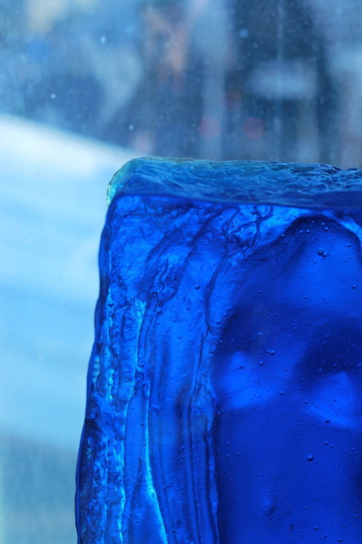 Rots in de Branding - E. Cornelis