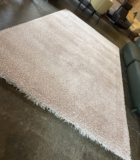 Image 1 of Alfombra Brink y Campman Sprout