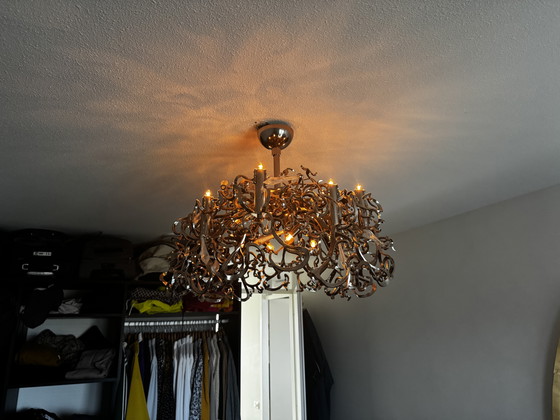 Image 1 of Marchio di Egmond Icy Lady