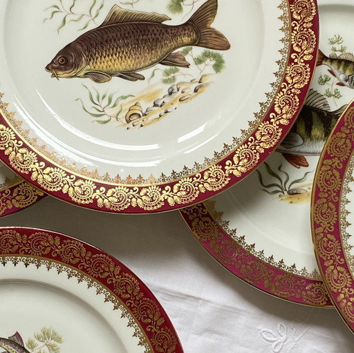 Lot de 11 Assiettes Poisson Porcelaine Limoges Chadelaud avec Dorure