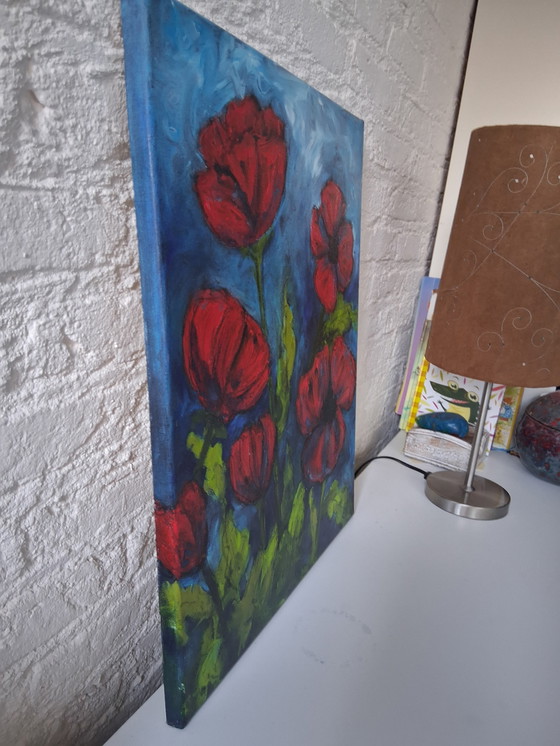 Image 1 of Corn Poppys