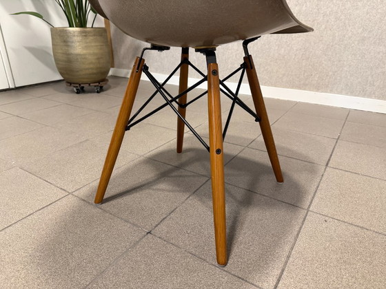 Herman Miller | Eames | DSW | Fibre de verre gris-beige | 4 pièces – Chaises de salle à manger, Metal, Wood (photo 7 of 13)