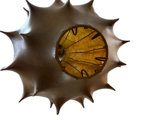 Image 1 of Kokosnuss-Kronleuchter