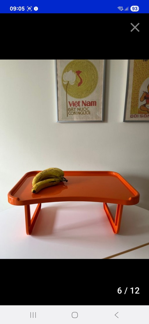 Kartell Tray