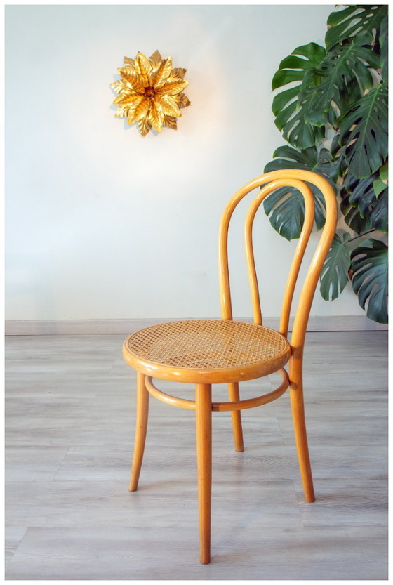 Image 1 of Coppia di sedie da bistrot anni '70 in legno curvato e vimini.