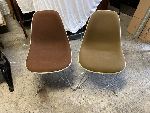 Vitra Eames (DSR)
