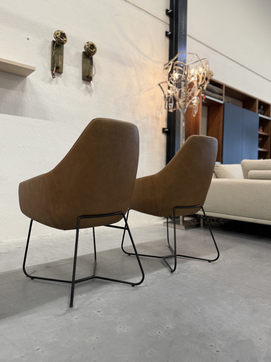 Image 1 of 4 Mostra modello Montis Lazy Vico sedie da pranzo in pelle