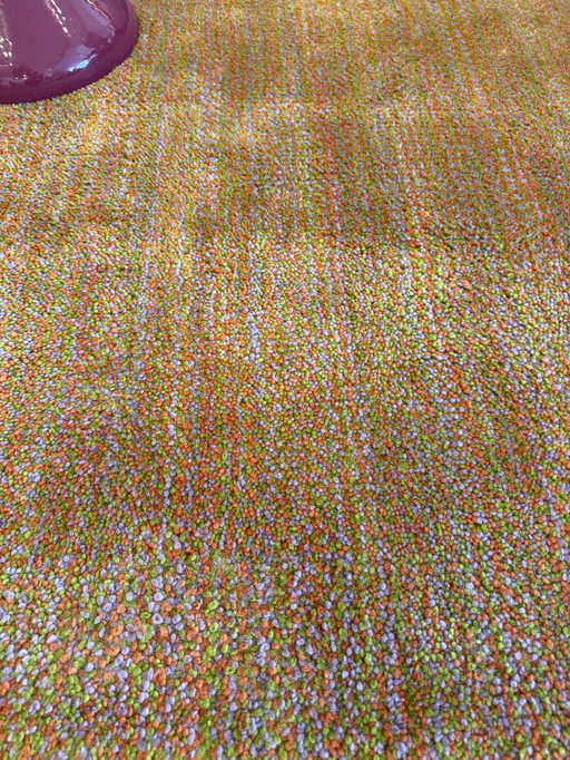 Rug Aventura