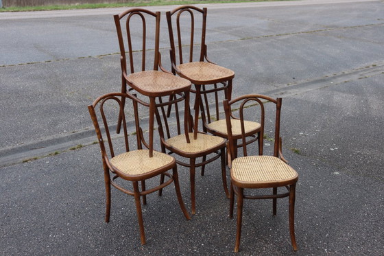 Image 1 of Sedie da bistrot serie x6 n. 56 di Thonet