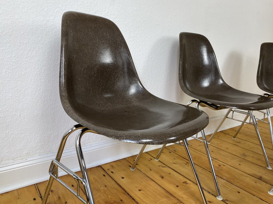 Image 1 of 4X Herman Miller Vitra Dss Glasvezel Stoelen Van Charles & Ray Eames In Seal Bruin