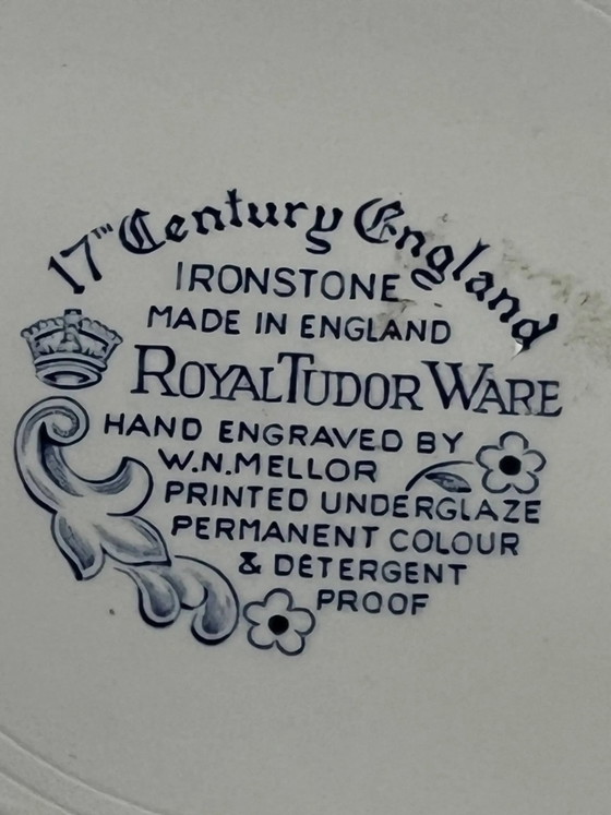 Coppia di piatti Royal Tudor Ware., Stoviglie, Porcellana (foto 4 di 5)