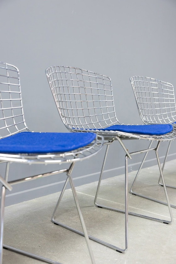 Image 1 of Sedia laterale Bertoia, 4x