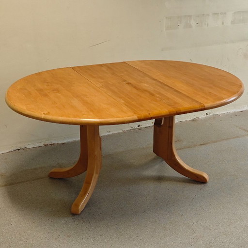Vintage Rainer Daumiller uitschuif eettafel