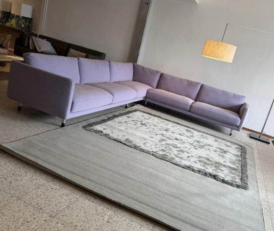 Leolux Rug Frame Marram 240 x 340 NEW – Rugs & carpets, Wool (photo 6 of 9)
