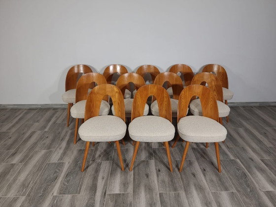 Image 1 of Dining Chairs from Antonin Suman, set of 12