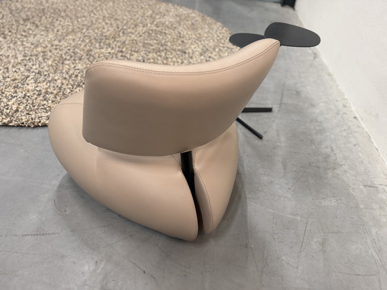 Image 1 of Leolux Pallone Pa Fauteuil Raffino Dove leer