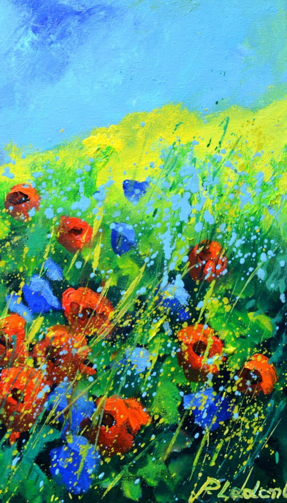 Image 1 of Amapolas rojas