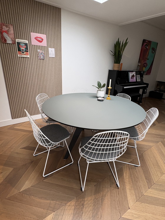 Image 1 of Odesi Belly table limited edition verde commodoro, 150cm