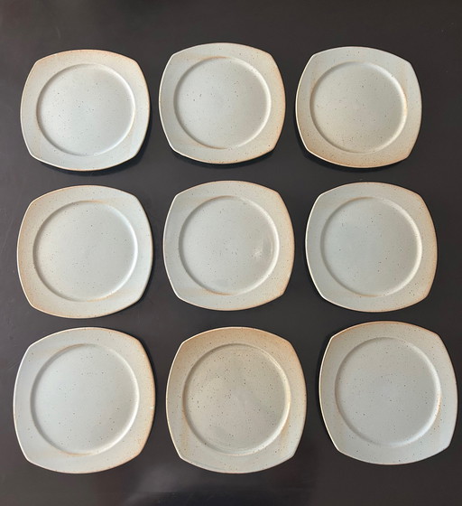 9 Stoneware Plates Published by CNP