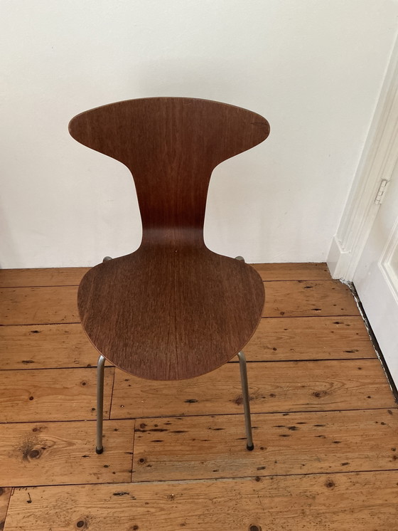 Image 1 of Mosquito Chair