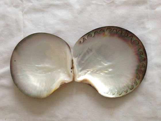 Image 1 of Doosje van parelmoer, gegraveerd met een tropisch tafereel.