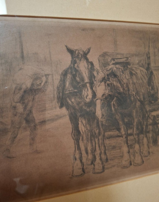 Image 1 of Waalko Jans Dingemans Radierung Pferde