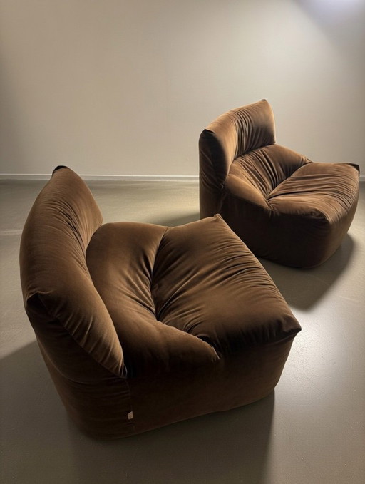 Poltrona Aralia di Ligne Roset, 1970