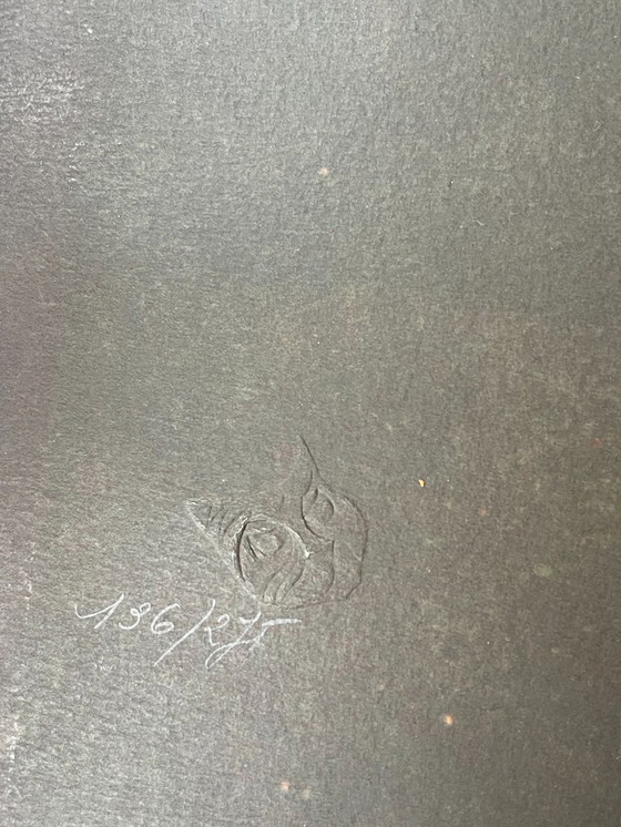 Image 1 of Leonor Fini, Donna vestita con piume di pavone, 1970 ca.