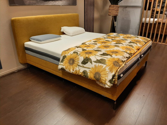 Image 1 of Orgoglioso **