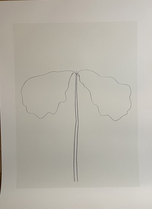 Ellsworth Kelly  (1923-2015), Chêne, 1964, Copyright E.Kelly & Sabam 2004, Printed In Belgium