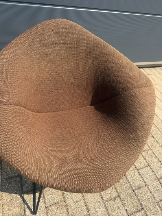 Originele vintage Knoll Bertoia Diamand chair TOPstaat!! – Fauteuils, Metal, Textile (photo 10 of 15)