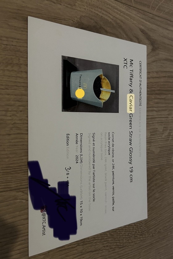 Opera d'Arte Unica XTC Artist McDonald's Caviar – Sculture, Plexiglass, Gold (photo 6 of 6)