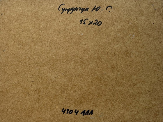 Image 1 of Origineel olieverfschilderij: Zomerdorplandschap met huizen in het bos.