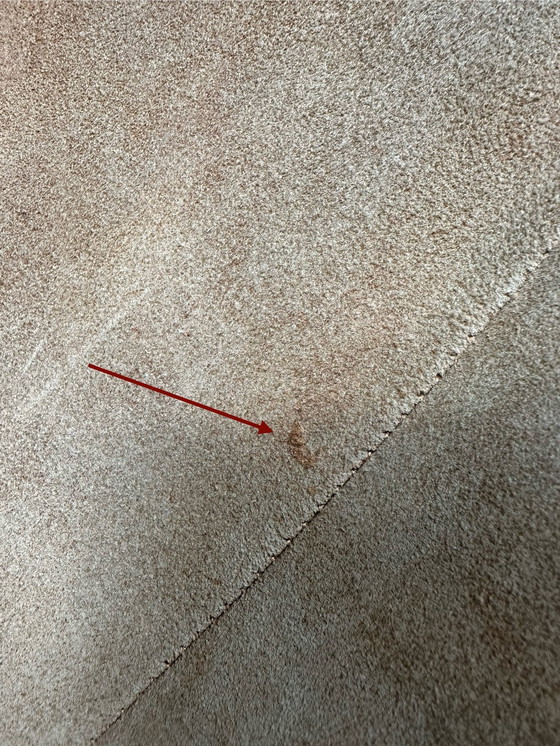 Image 1 of 2x Vintage Ballonstoelen - Lusch Erzeugnis - 1960’s