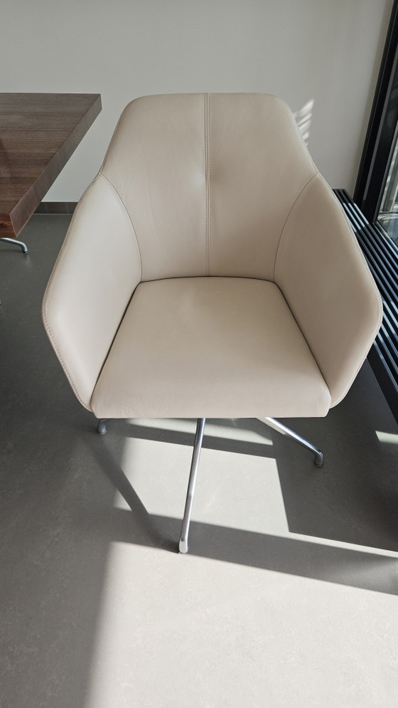 Eetkamerstoelen De Sede DS 279-201 (4x) – Leather (photo 5 of 5)
