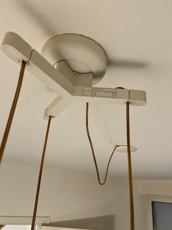 Image 1 of Flos Fucsia 3